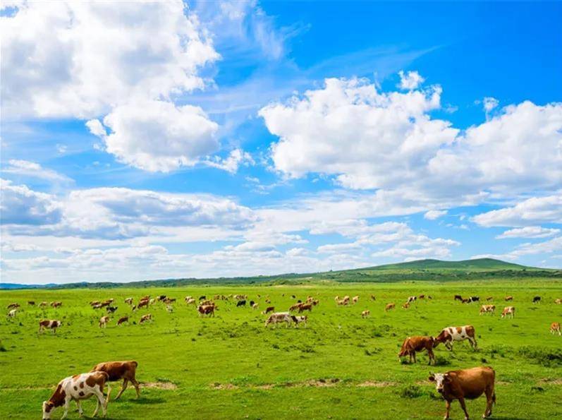 内蒙古,自然奇观与文化精髓的探秘之旅