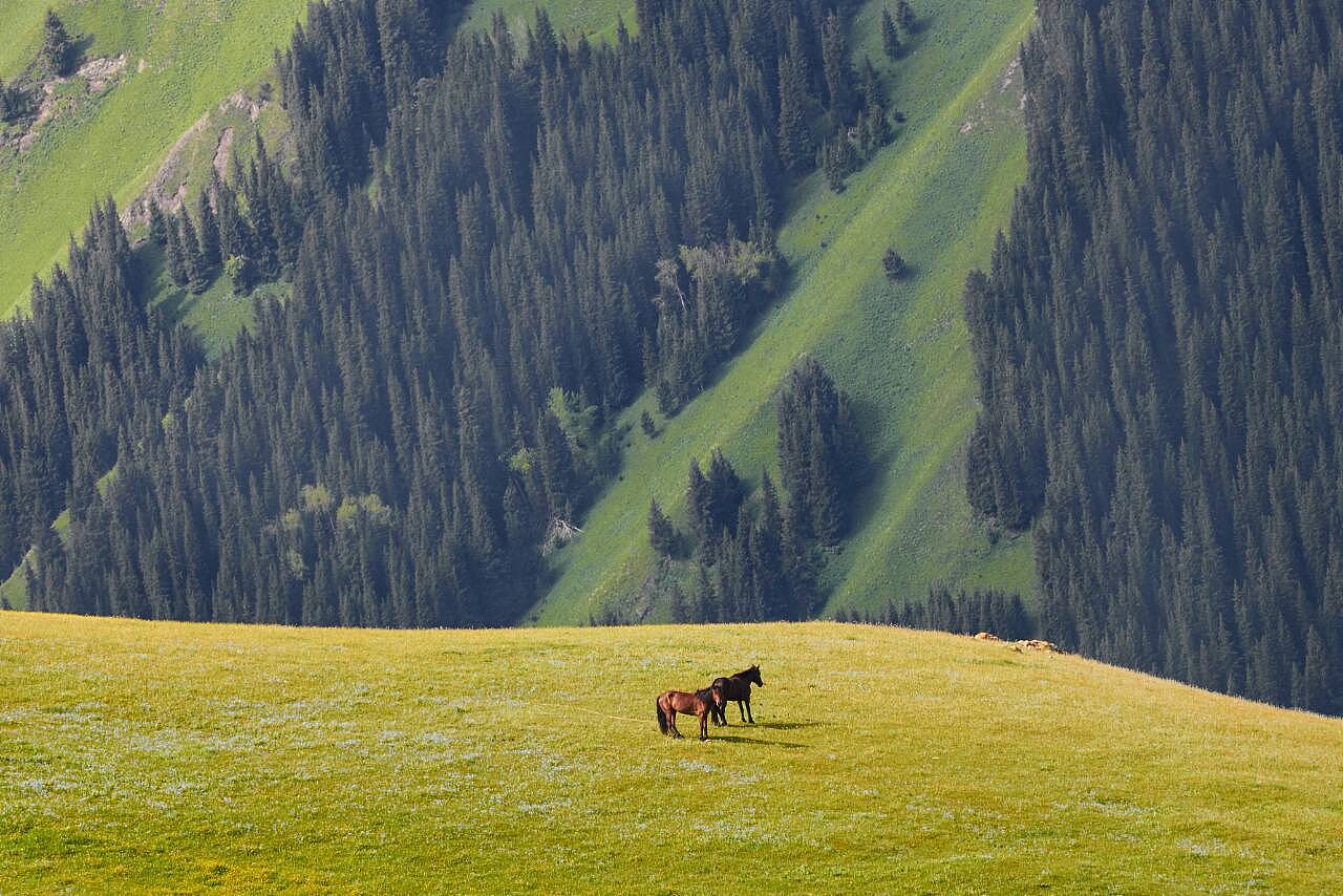新疆之行，心之所向的深度感悟
