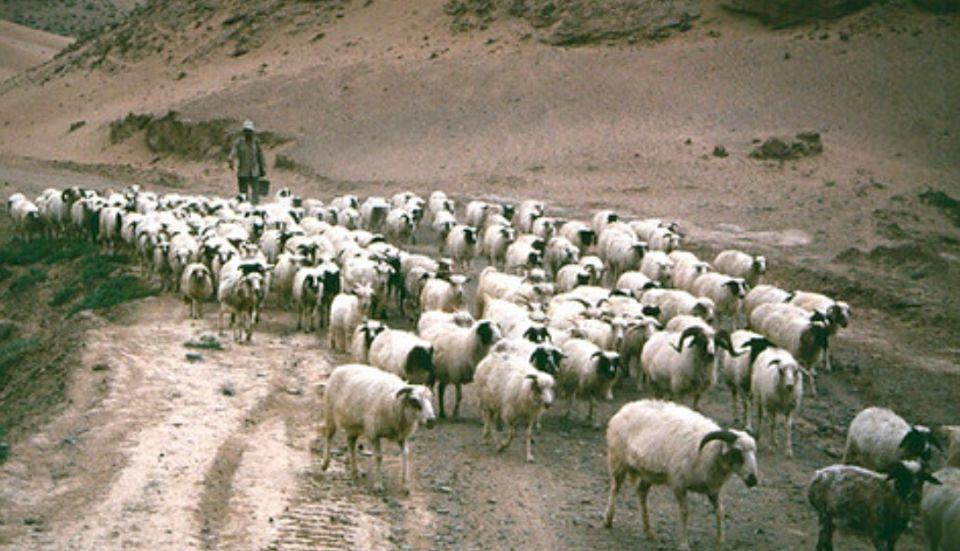 宁夏绿色发展新纪元